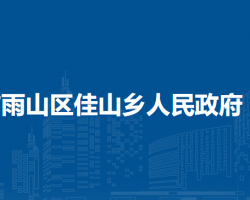 马鞍山市雨山区佳山乡人民政府