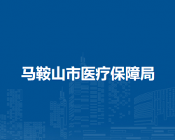 马鞍山市医疗保障局