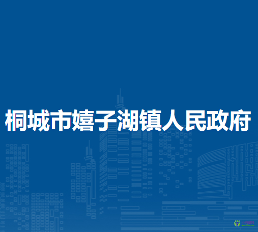 桐城市嬉子湖镇人民政府