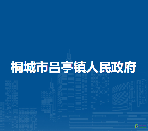 桐城市吕亭镇人民政府