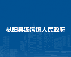 枞阳县汤沟镇人民政府