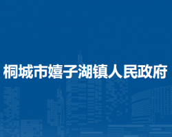 桐城市嬉子湖镇人民政府