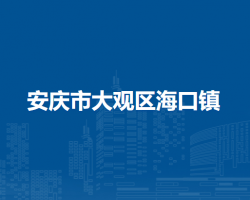 安庆市大观区海口镇人民政府