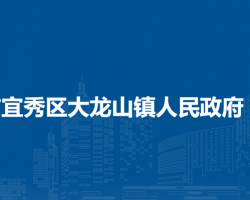 安庆市宜秀区大龙山镇人民政府